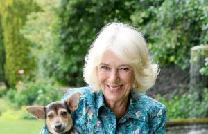 Queen Camilla abraça seu cão de resgate Moley em uma foto invisível adorável A realeza foi retratada brilhante em seu jardim em sua residência ultra -sem
