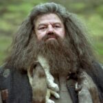 'Respeite' Harry Potter. Revela a primeira olhada no hagrid