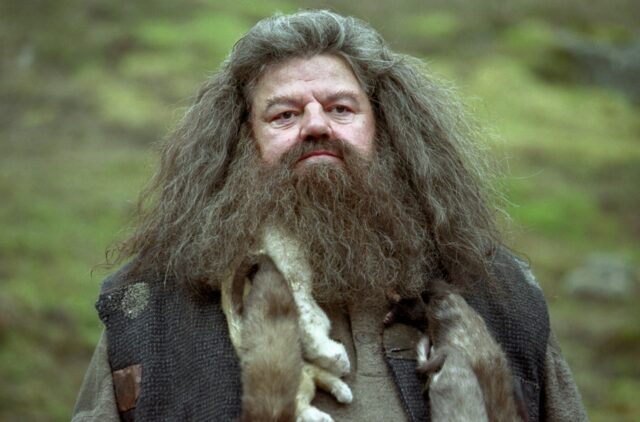 'Respeite' Harry Potter. Revela a primeira olhada no hagrid


