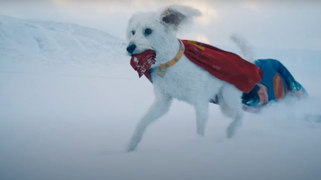 Responder à pergunta mais importante do "Super -Homem": a criptografia sobrevive?


