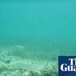 Risco de ataques a cabo submarinos apoiados pela Rússia e China, que provavelmente aumentarão, relata avisos