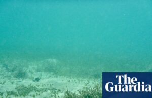 Risco de ataques a cabo submarinos apoiados pela Rússia e China, que provavelmente aumentarão, relata avisos Risco de ataques a cabo submarinos apoiados pela Rússia e China, que provavelmente aumentarão, relata avisos