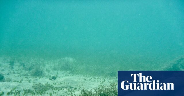 Risco de ataques a cabo submarinos apoiados pela Rússia e China, que provavelmente aumentarão, relata avisos

