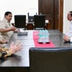 Saiba 40 minutos sozinha, Jokowi baixou os movimentos de Pabowo para enfrentar a União Européia e Americana