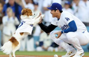Shohei Ohtani anuncia o livro infantil: “O Dechoy salva o dia da abertura” Shohei Ohtani anuncia o livro infantil: "O Dechoy salva o dia da abertura"