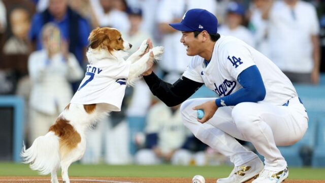 Shohei Ohtani anuncia o livro infantil: "O Dechoy salva o dia da abertura"

