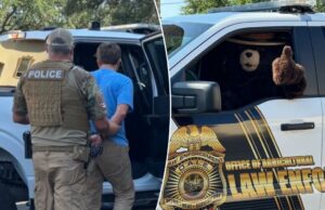 Smokey the Bear Ansts Man pelo suposto roubo de seus personagens na Flórida para vender no Facebook: “Criminosos estúpidos” Smokey the Bear Ansts Man pelo suposto roubo de seus personagens na Flórida para vender no Facebook: "Criminosos estúpidos"