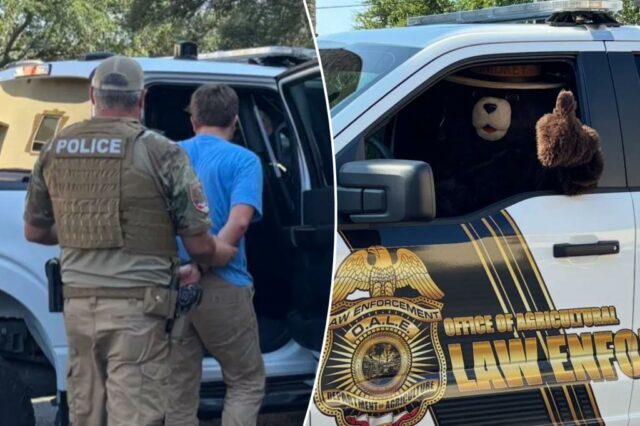 Smokey the Bear Ansts Man pelo suposto roubo de seus personagens na Flórida para vender no Facebook: "Criminosos estúpidos"

