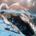 Summer McIntosh do Canadá faz duas medalhas de ouro em dois dias no Campeonato Mundial de Natação