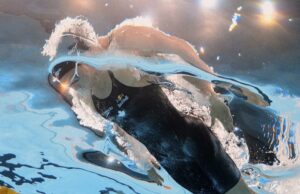 Summer McIntosh do Canadá faz duas medalhas de ouro em dois dias no Campeonato Mundial de Natação Summer McIntosh do Canadá faz duas medalhas de ouro em dois dias no Campeonato Mundial de Natação