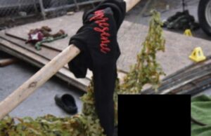 Suspeito em São Francisco matando o homem, cachorro acusado de um tribunal federal Suspeito em São Francisco matando o homem, cachorro acusado de um tribunal federal