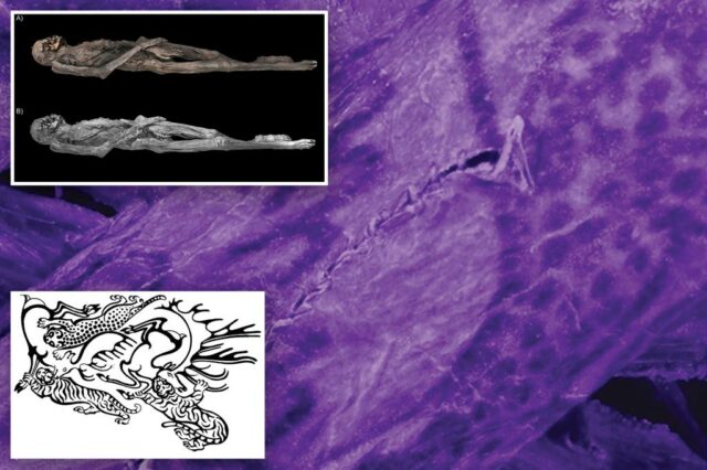 Tatuagens selvagens da "múmia de gelo" da Siberiana de 2500 anos foi revelada pela primeira vez

