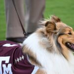 Reaeille Texas A e M Getti 5