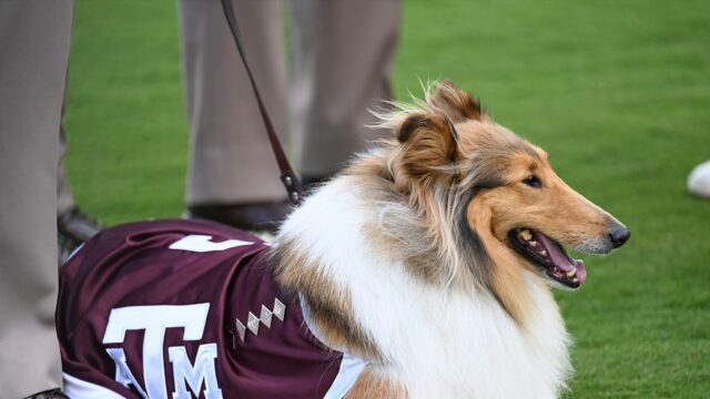 Reaeille Texas A e M Getti 5