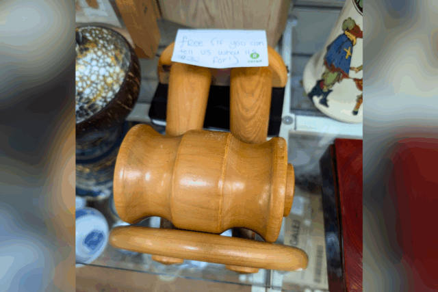 Thrift Store diz que o item de mistério é apenas gratuito se você pode identificar o que é

