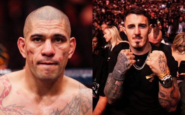 Tom Aspinall etc. Alex Pereira é uma luta dos sonhos ou o "Poatan" Magomed Ankalaev? Legenda do UFC confunde o pote de combinação 


