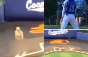 Treinadores de beisebol juvenil dispararam depois de crianças pequenas chocantes, jogando nu no torneio do norte do estado de NY Um treinador entrou no quadro doméstico em Naked, mostra vídeo.