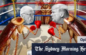 Trump, Murdoch, Epphie e Maga: Bannon prevê Firestormis, mas não está claro quem será Ultra Trump Aide Steve Bannon: