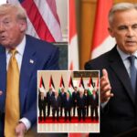 Trump afirma que é difícil fazer contato com o Canadá para apoiar o estado palestino