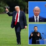 Trump anuncia que as conchas do Patriot para a Ucrânia dizem que Putin fala muito bem, mas depois bombardeou todos à noite "