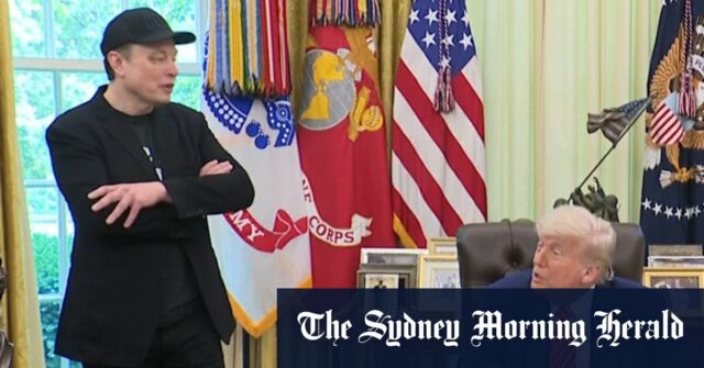 Trump diz

