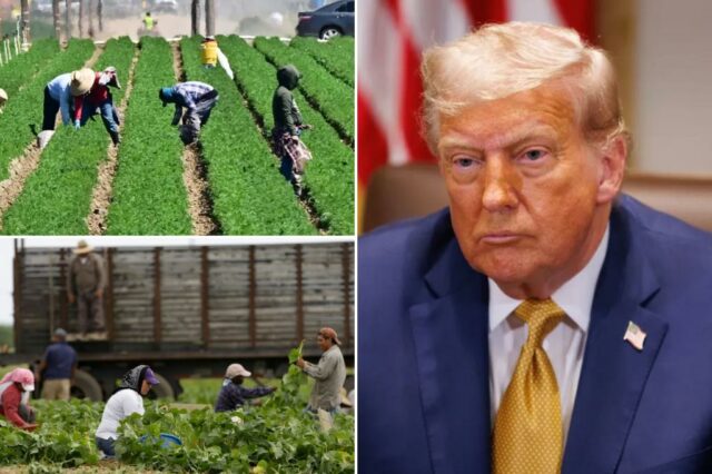 Trump insiste que "sem anistia" para a migração de trabalhadores agrícolas como um secretário de agricultura flutuante substituindo seus destinatários Medicaid


