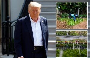 Trump oferece um novo programa de vistos para migrar os trabalhadores depois de estar em atraso dos agricultores: relatório Trump oferece um novo programa de vistos para migrar os trabalhadores depois de estar em atraso dos agricultores: relatório
