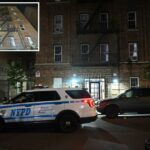 Um homem ciumento de Nova York esfaquear uma garota, os policiais dizem: "Ele me disse que a ama tanto".