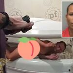 Um homem nu na Flórida disse que estava se escondendo em uma cama de banhos de sol depois de começar o fogo, rasgando o teto: "um pouco ensolarado"