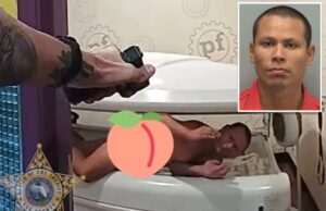 Um homem nu na Flórida disse que estava se escondendo em uma cama de banhos de sol depois de começar o fogo, rasgando o teto: “um pouco ensolarado” Um homem nu na Flórida disse que estava se escondendo em uma cama de banhos de sol depois de começar o fogo, rasgando o teto: "um pouco ensolarado"