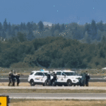 Um piloto com um "motivo ideológico" rouba pequenas aeronaves e interrompe as principais operações do aeroporto internacional