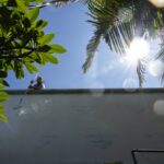 Na terça -feira, 29 de julho de 2025, um trabalhador pressiona em San Diego entre uma cerca e uma parede para terminar um ADU. (Ana Ramirez / The San Diego Union-Tribune)