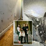 Uma família envenenada por molde escondido no apartamento chique de Nova York, com uma criança coberta de blocos dolorosos cheios de pus: processo