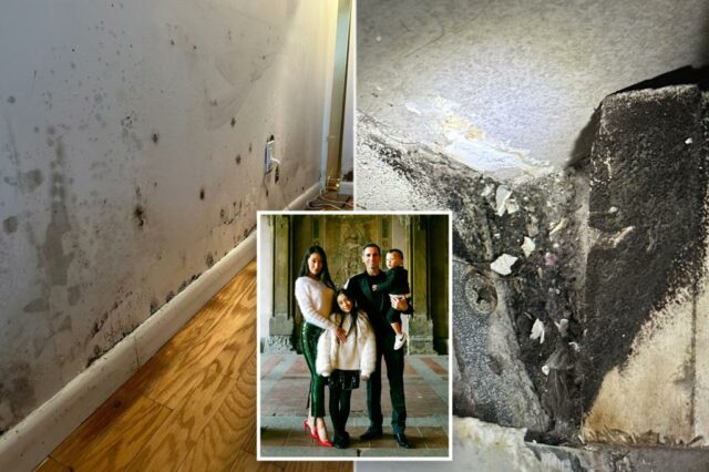 Uma família envenenada por molde escondido no apartamento chique de Nova York, com uma criança coberta de blocos dolorosos cheios de pus: processo

