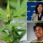 Vendedores legais de um estripador sobre os mais recentes albans da maconha - que, como eles têm medo deles