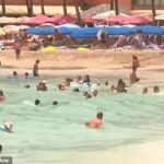 Foto: Muitas pessoas em Waikiki Beach, em Honolulu, não seguiram os avisos do tsunami na terça -feira e ficaram na água, apesar do perigo que chegou