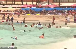Vídeo chocante mostra nadadores e banhistas ignorando o aviso do tsunami sobre o Havais Waikiki -Strand Foto: Muitas pessoas em Waikiki Beach, em Honolulu, não seguiram os avisos do tsunami na terça -feira e ficaram na água, apesar do perigo que chegou