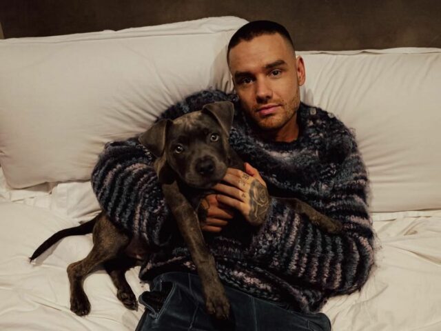 "We Incredible Dançarinos"- o juiz do grupo Liam Payne compara um grupo de coreografia com uma direção

