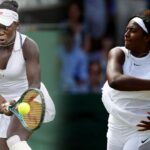 Wimbledon 2025: Victoria Mboko vs Hailey Baptiste Preview, Perrying, Preceding, Ratio and Choice