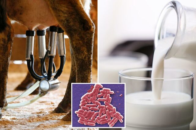 21 Paciente com E. coli e intoxicação alimentar, incluindo 6 crianças pequenas, depois de comer leite cru da Florida Farm

