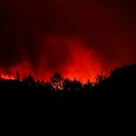 Árvores queimam sob um dramático incêndio perto de Narbonne, sul da França em 6 de agosto
