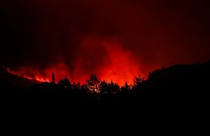 A Europa está queimando mais uma vez quando incêndios mortais varrem a França e a Espanha, força os turistas a evacuar e matar uma mulher em sua casa Árvores queimam sob um dramático incêndio perto de Narbonne, sul da França em 6 de agosto