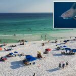 A Flórida leva 9 dos principais 10 lugares para a maioria dos ataques de tubarões nas linhas costeiras americanas