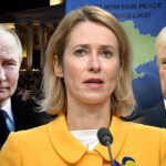 A UE atingirá os comentários de Trump, Greenskyy, sem concessões na Ucrânia antes do acordo de Putin