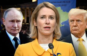 A UE atingirá os comentários de Trump, Greenskyy, sem concessões na Ucrânia antes do acordo de Putin A UE atingirá os comentários de Trump, Greenskyy, sem concessões na Ucrânia antes do acordo de Putin