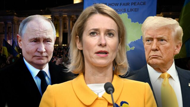 A UE atingirá os comentários de Trump, Greenskyy, sem concessões na Ucrânia antes do acordo de Putin

