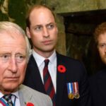 Os altos e baixos do príncipe Harry com a família real ao longo dos anos, desde a partida real até Meghan Markle Tell-All e mais