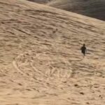 A esposa filma o marido brincando com cachorro e não tem conhecimento do que está realmente acontecendo