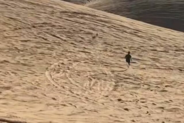 A esposa filma o marido brincando com cachorro e não tem conhecimento do que está realmente acontecendo



