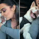 A eutanásia de cachorro atrasou o último minuto - então algo incrível acontece